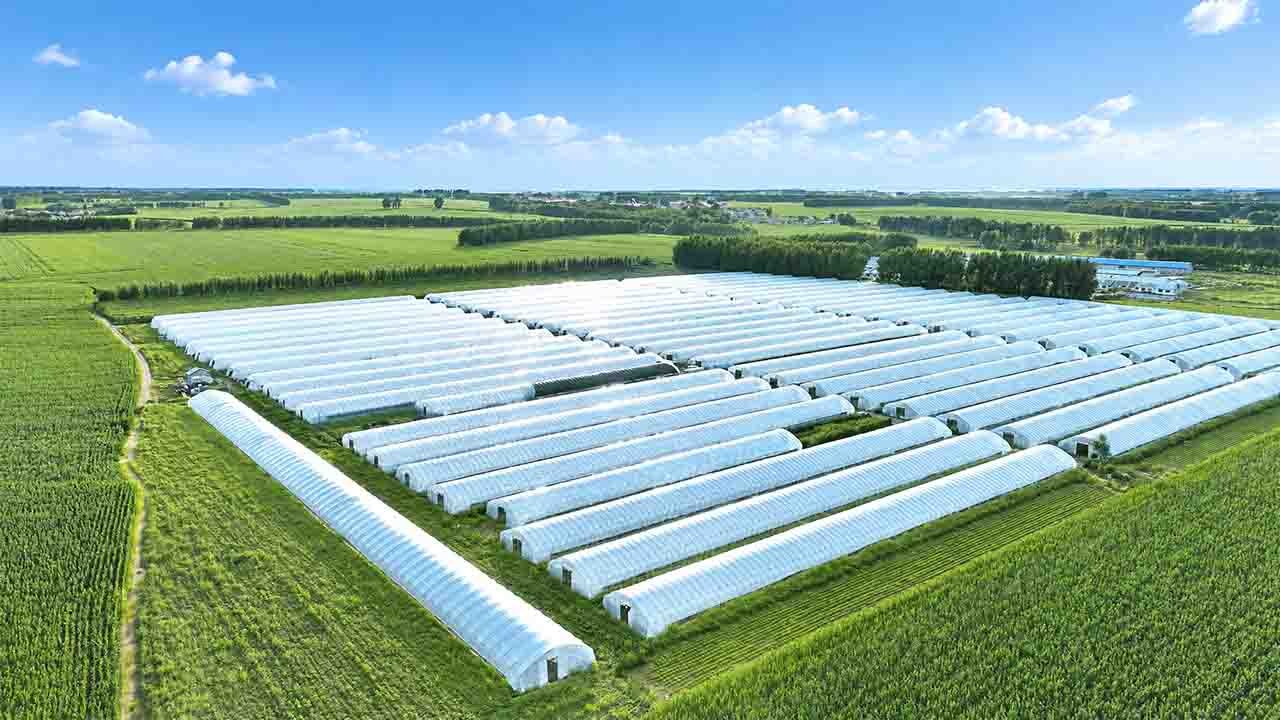 Agricultural cooperative processing own greenhouse film waste on-site