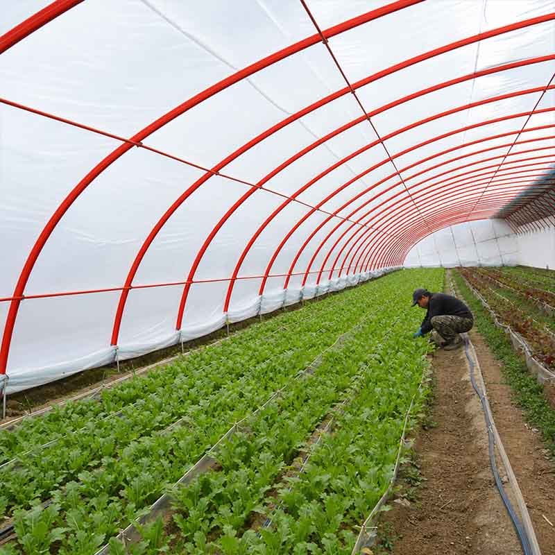 Greenhouse covering film — produced on LayerQuestar blown film machine