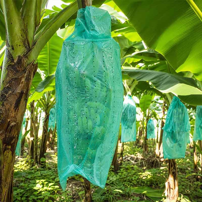 Plant insect protection sleeve film — produced on LayerQuestar blown film machine